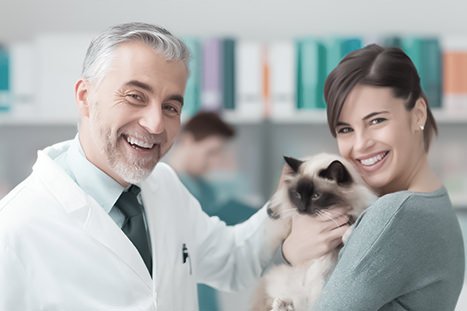 Veterinário acariciando um gato