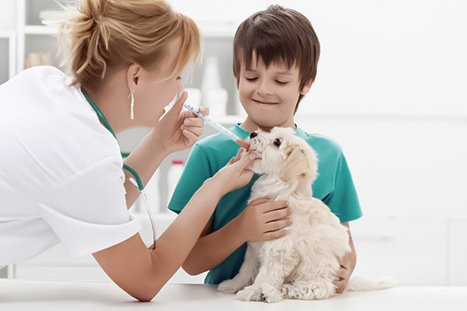 Veterinária aplicando medicamento oral em um filhote de cachorro