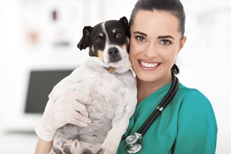 Veterinária posando com um cachorro para tirar a foto